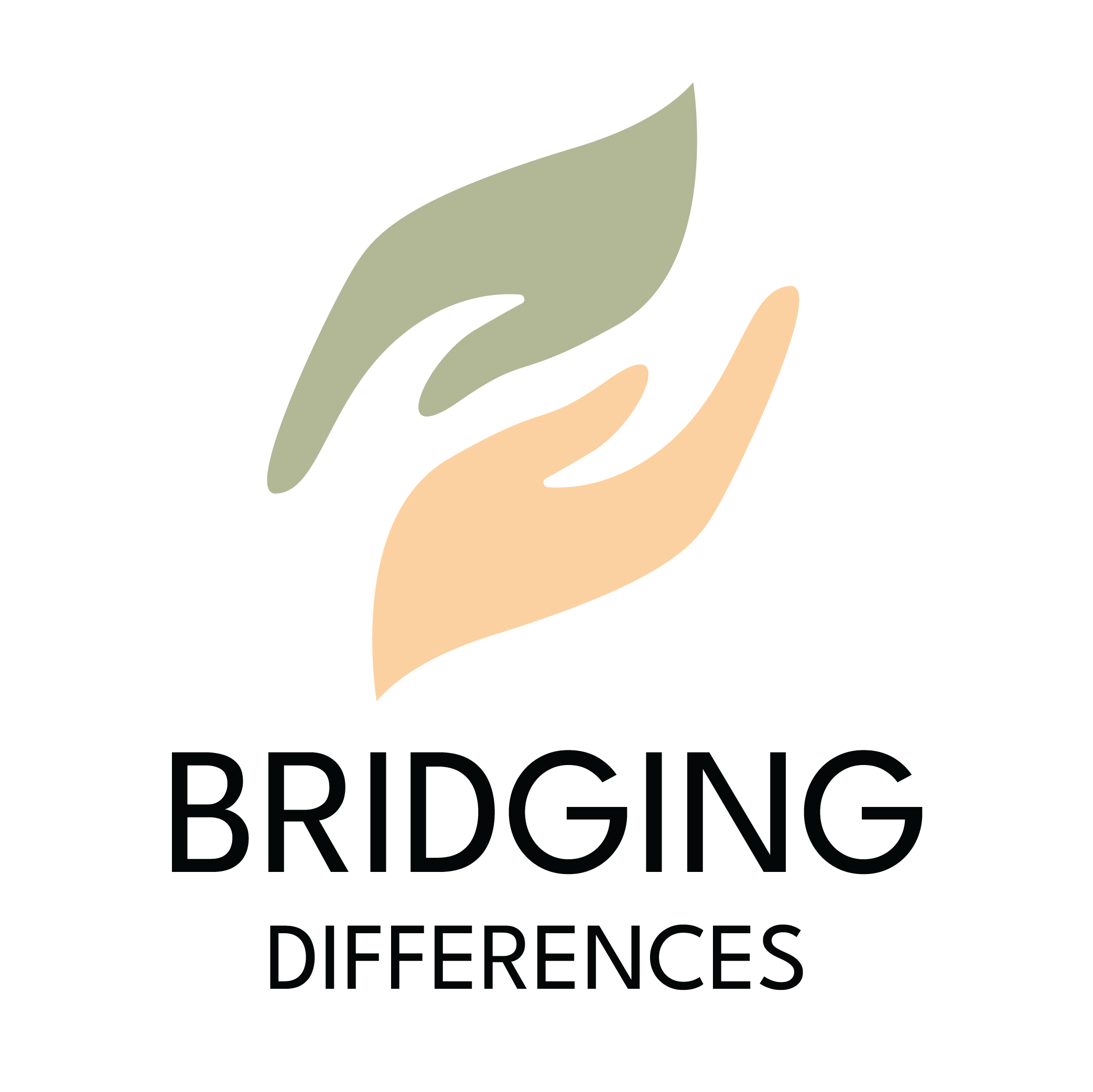 Bridging Differences